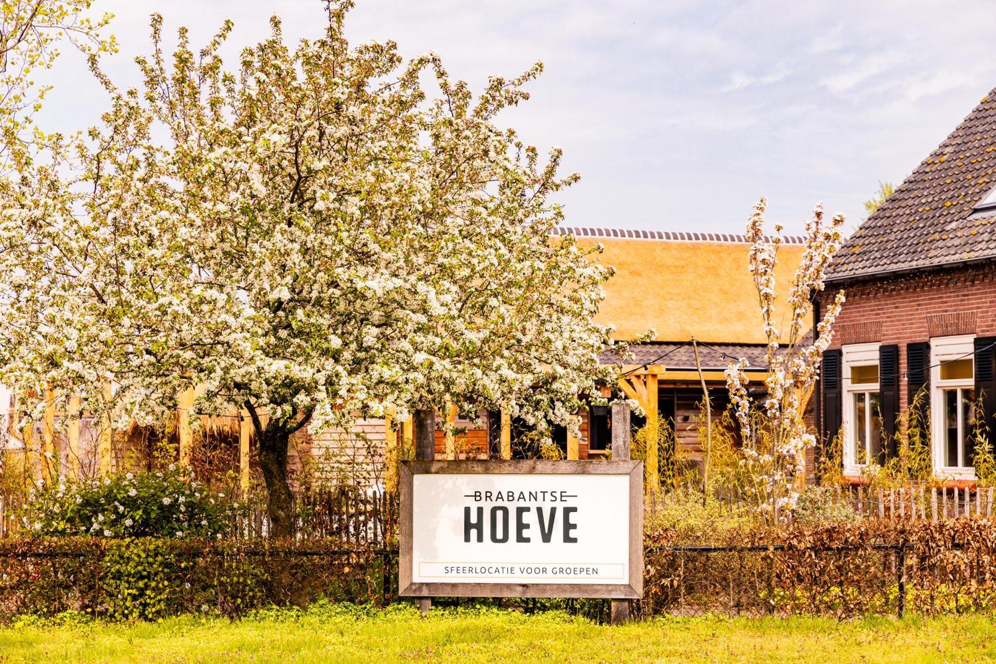 Brabantse Hoeve Volkel Εξωτερικό φωτογραφία